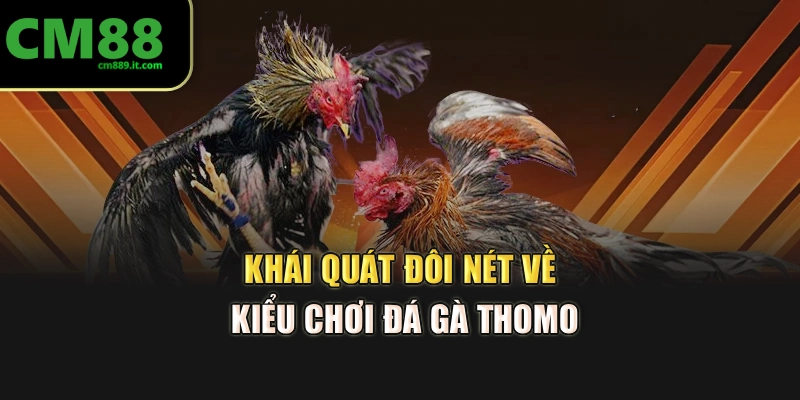 Khái quát đôi nét về kiểu chơi Đá Gà Thomo